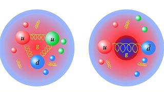 Nuove scoperte sulla distribuzione della massa nei quark e gluoni