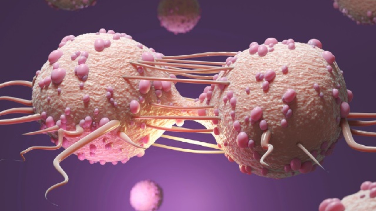 Nanorobot sfidano le difese tumorali: nuova frontiera terapeutica