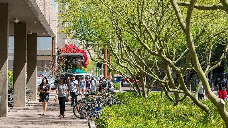 gli alberi sconfiggono il caldo in città