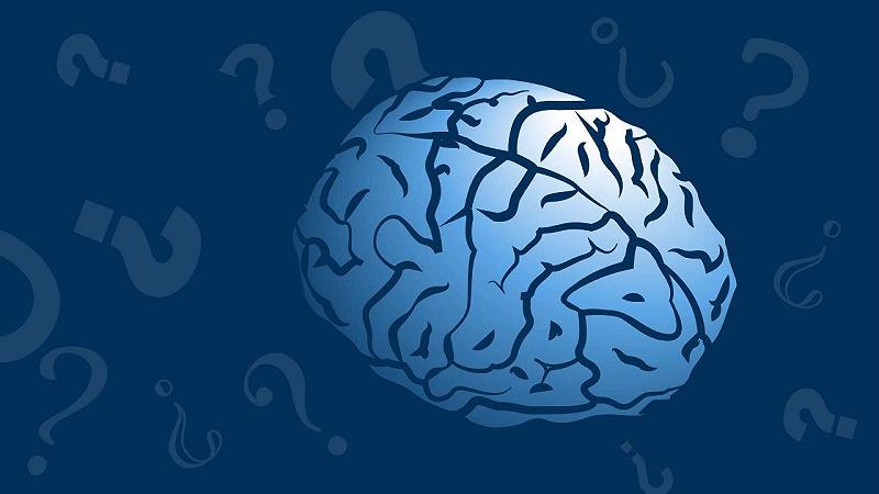 il cervello e le decisioni complesse