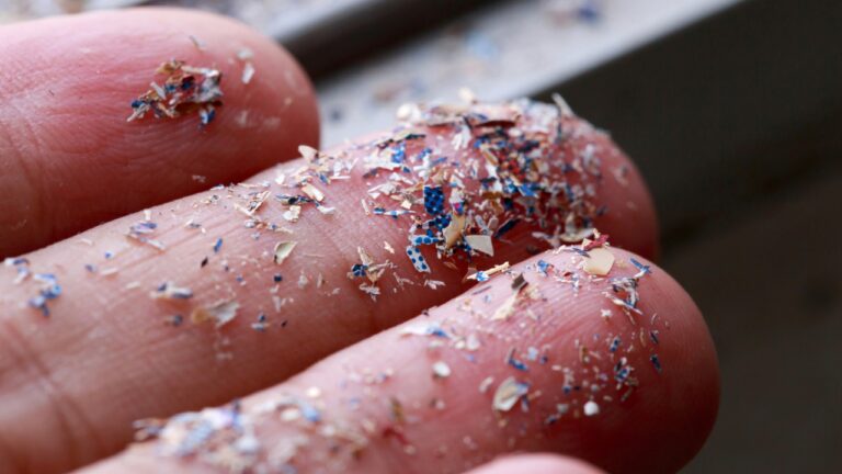 Le microplastiche possono accelerare le malattie neurodegenerative