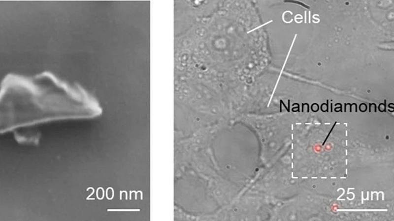 nanodiamanti sviluppati con centri azoto-lacuna