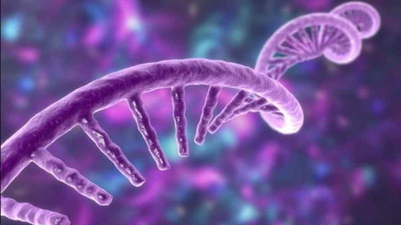 nuove forme di vita nel corpo umano