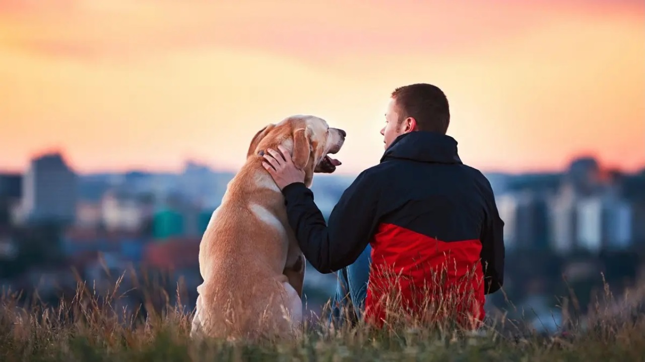 umani e cani antico legame