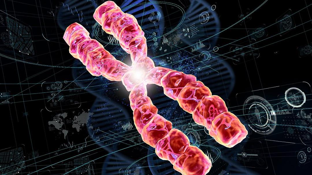 Individuato il legame del DNA con ictus, demenza e invecchiamento cerebrale