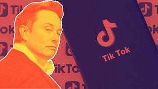 Elon Musk si comprerà anche TikTok? La risposta di ByteDance è chiara