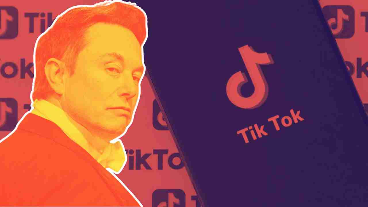 E se TikToik venisse acquistato da Elon Musk?