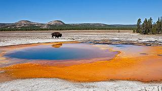 Yellowstone in movimento: cosa sta succedendo sotto la superficie?