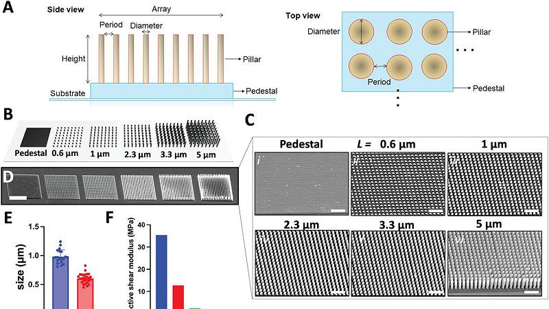 fabbricazione e caratterizzazione di array di nanopillar