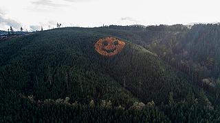 Sorriso gigante: sorprendente scoperta in Oregon