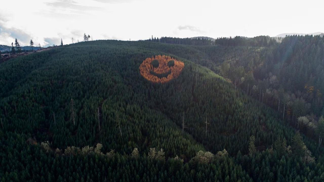 Sorriso gigante: sorprendente scoperta in Oregon