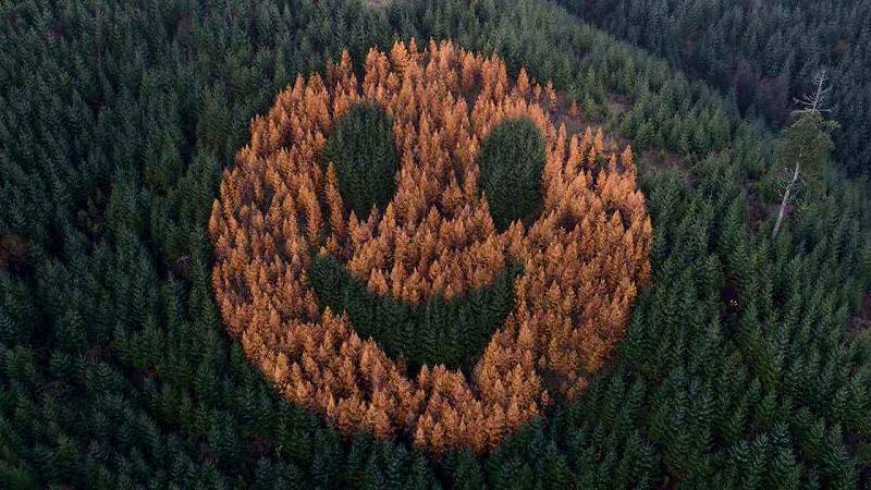 faccina sorridente in Oregon