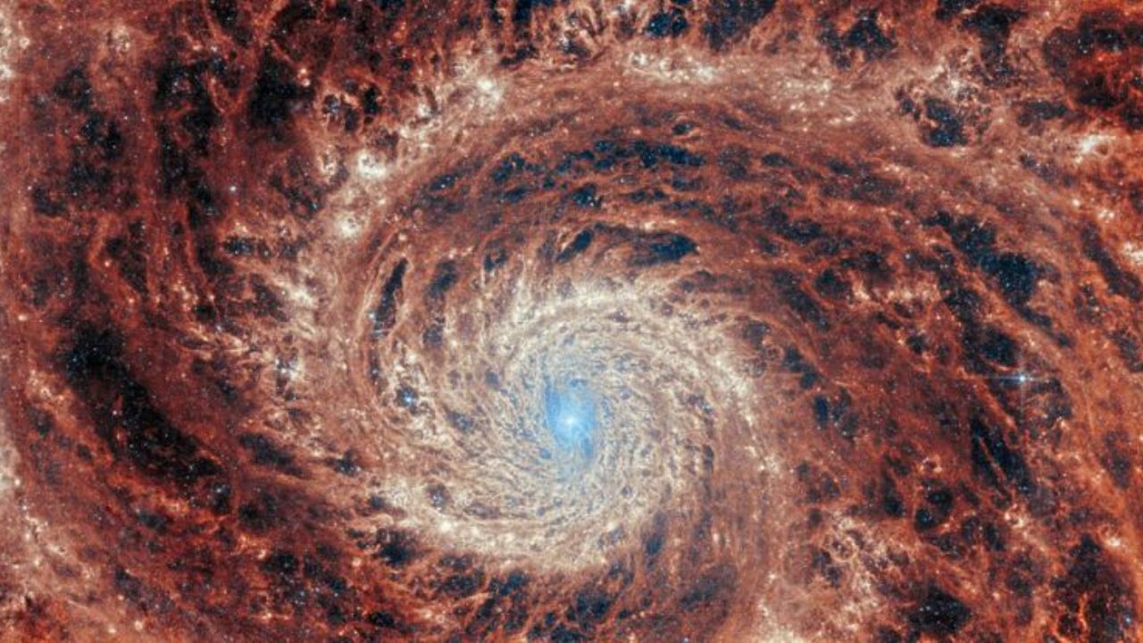 Un’enorme galassia a spirale emerge dall’Alba Cosmica