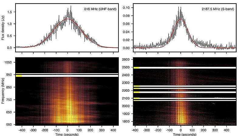 l'impulso rilevato dal telescopio MeerKAT a due diverse frequenze centrali