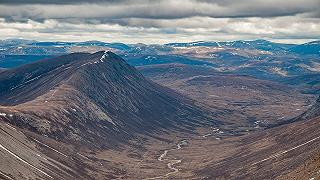 Lupi nelle Highlands scozzesi: un nuovo capitolo ecologico