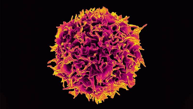 biomarcatori per il cancro