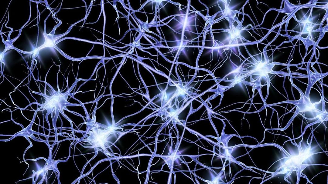 Connessioni neurali: ecco le scoperte rivoluzionarie che cambieranno il futuro