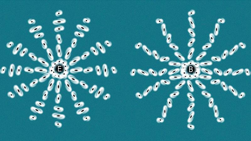 esempi di come le modalità E e B deformano le immagini di galassie distanti