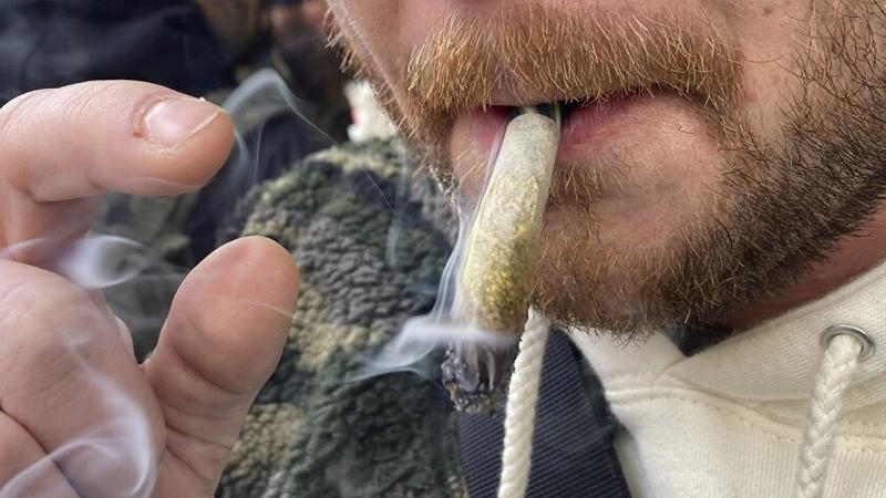 uso giornaliero di cannabis