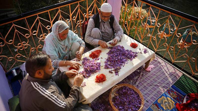 zafferano del Kashmir in India