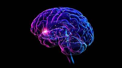 Identità neuronale: individuato il meccanismo che ne ridisegna la comprensione