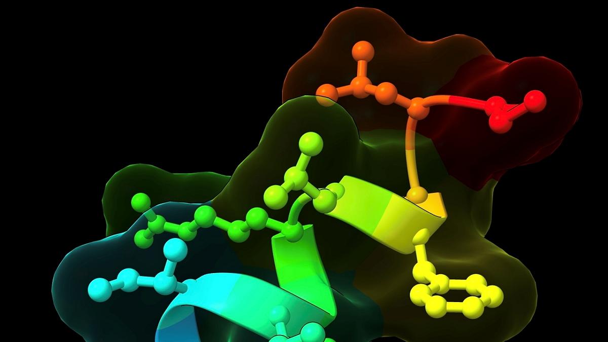 Scoperta una proteina che potrebbe rivoluzionare la medicina