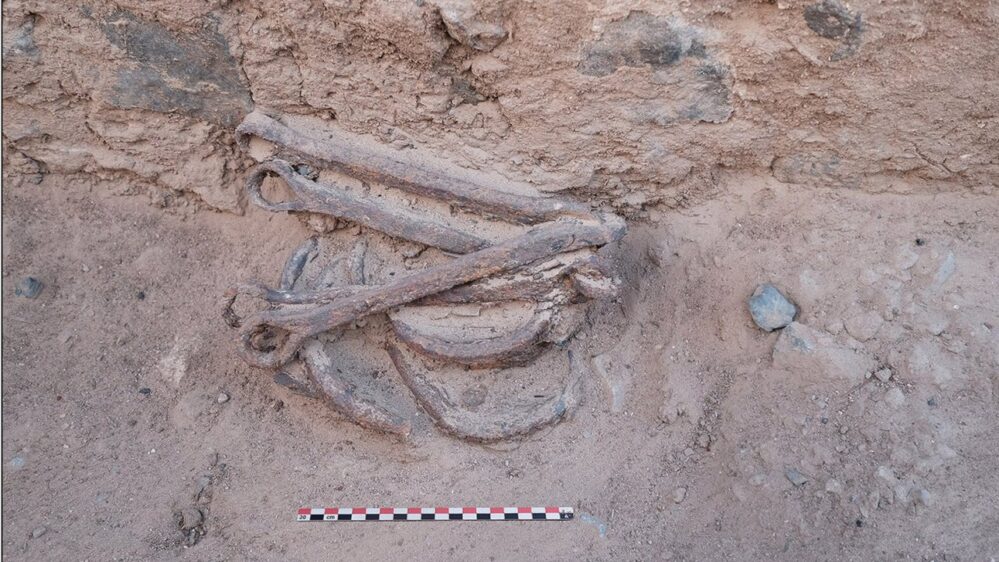 scoperte catene di ferro