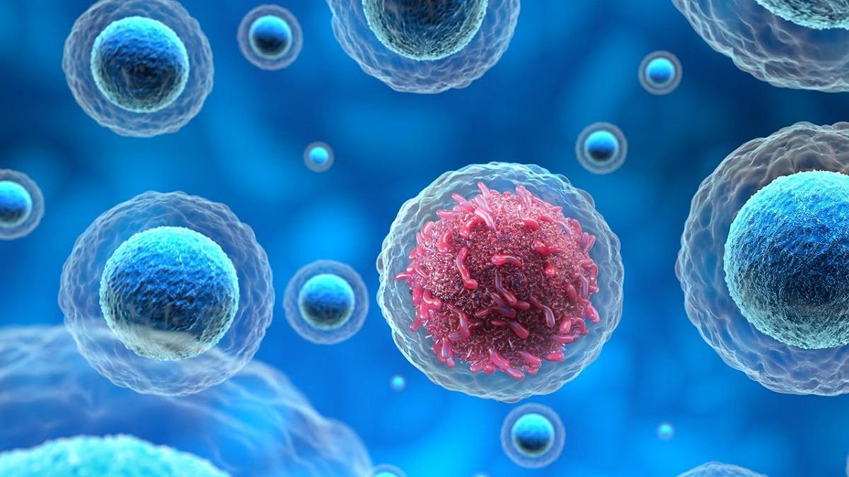 Tumori resistenti ai trattamenti: la svolta arriva da un nuovo anticorpo