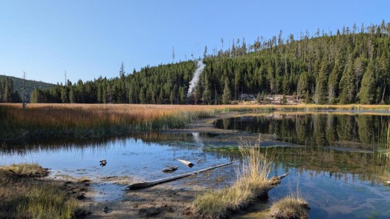 Colonna di vapore scoperta nel Parco Nazionale di Yellowstone