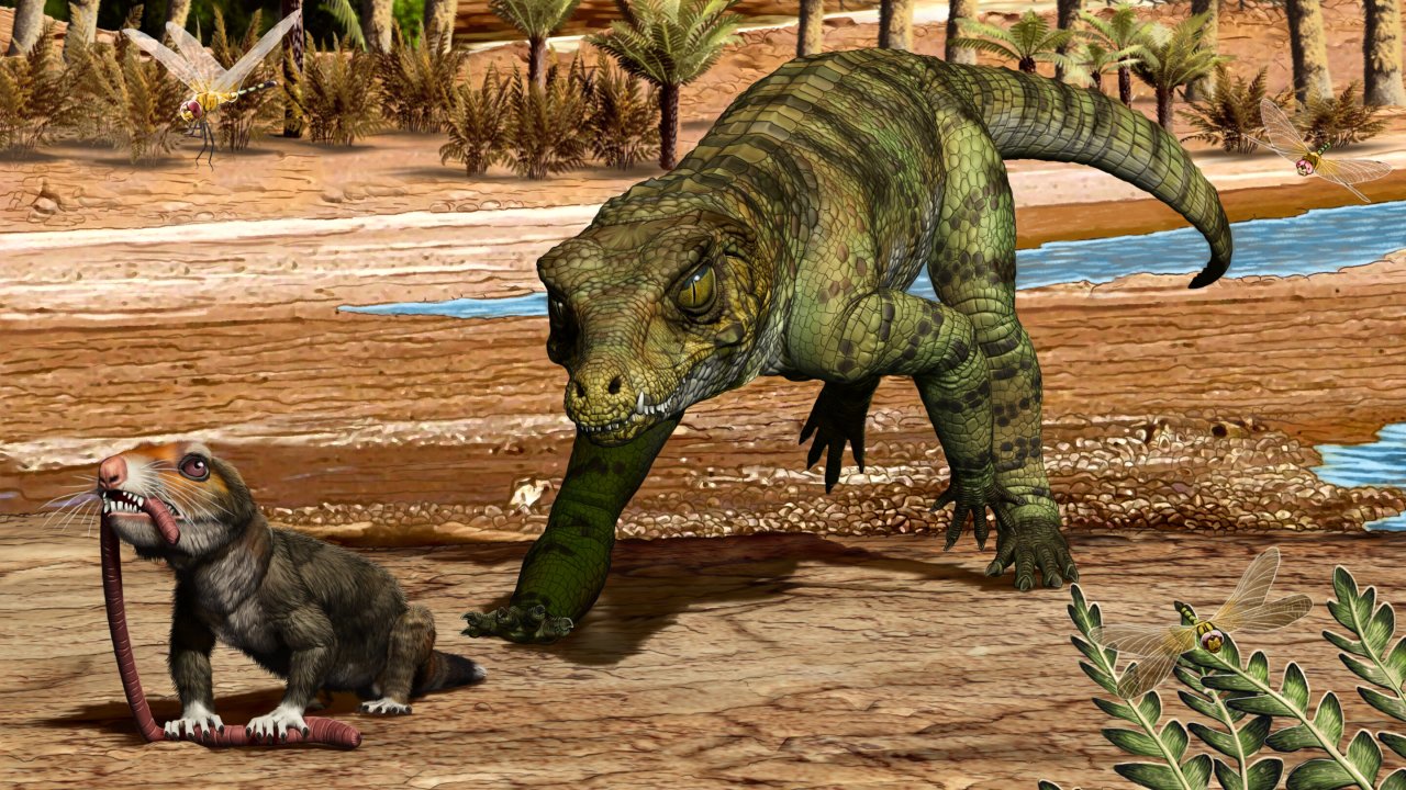 I coccodrilli sono i maestri della resilienza evolutiva