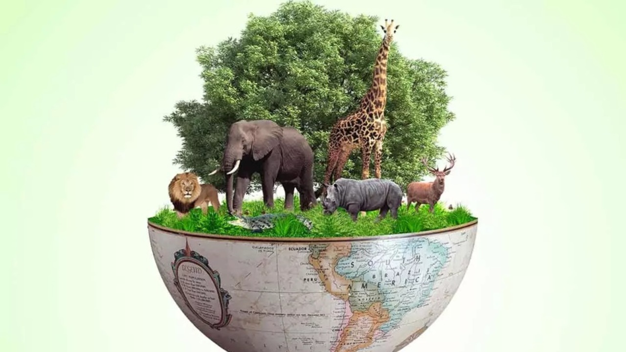 Clima e biodiversità: il potere del racconto scientifico