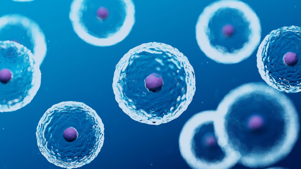 Il movimento cellulare apre nuovi scenari nella diagnosi medica