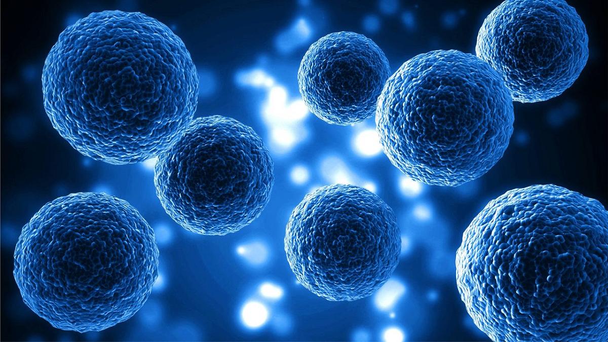 Nuovi orizzonti nella medicina: il futuro delle terapie personalizzate
