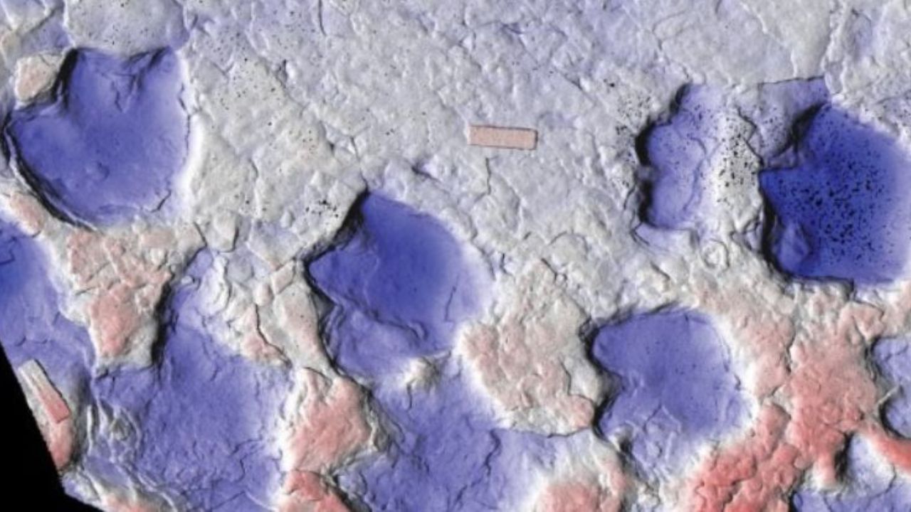 Tracce enigmatiche: una scoperta che riscrive la storia dei dinosauri