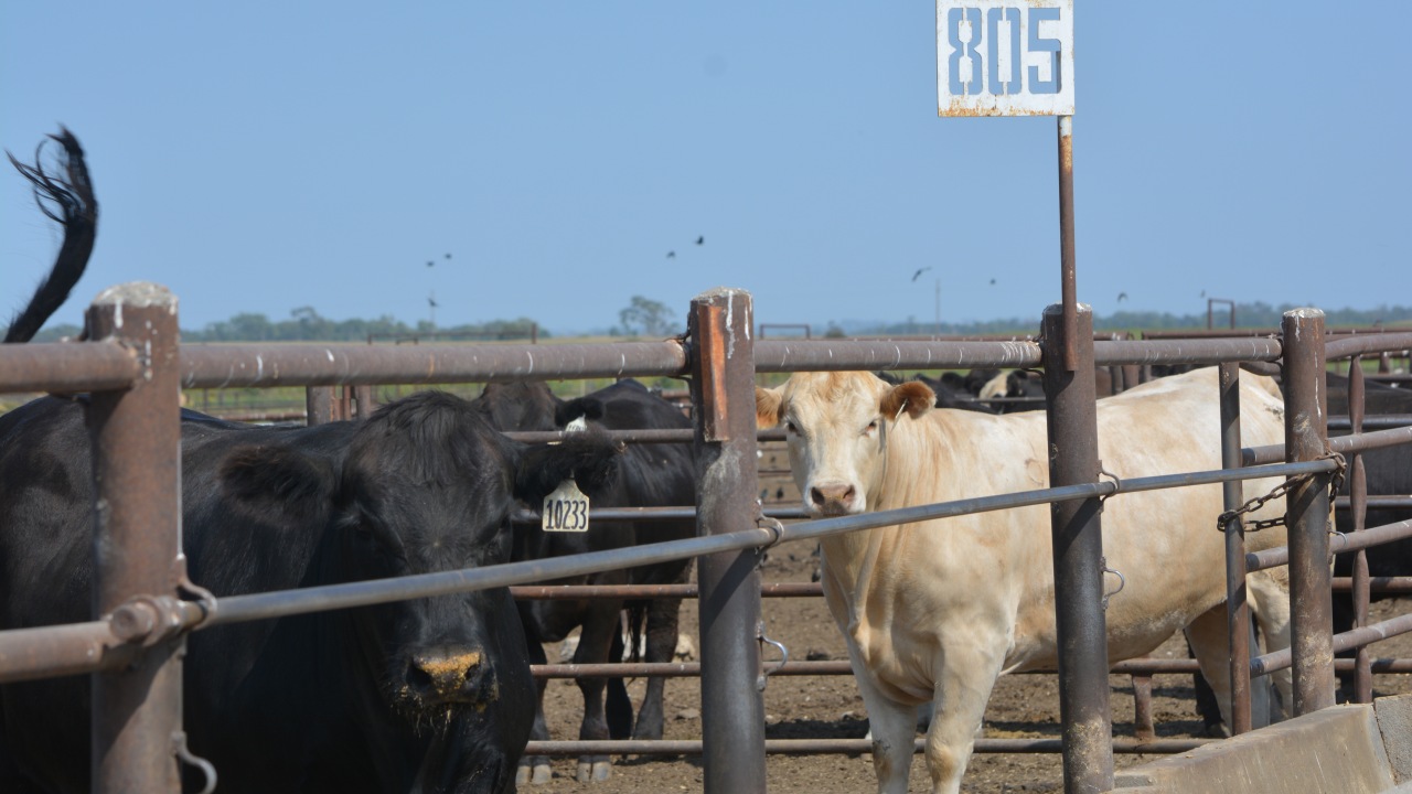Emissioni di metano: l’impegno globale per affrontare il cambiamento climatico