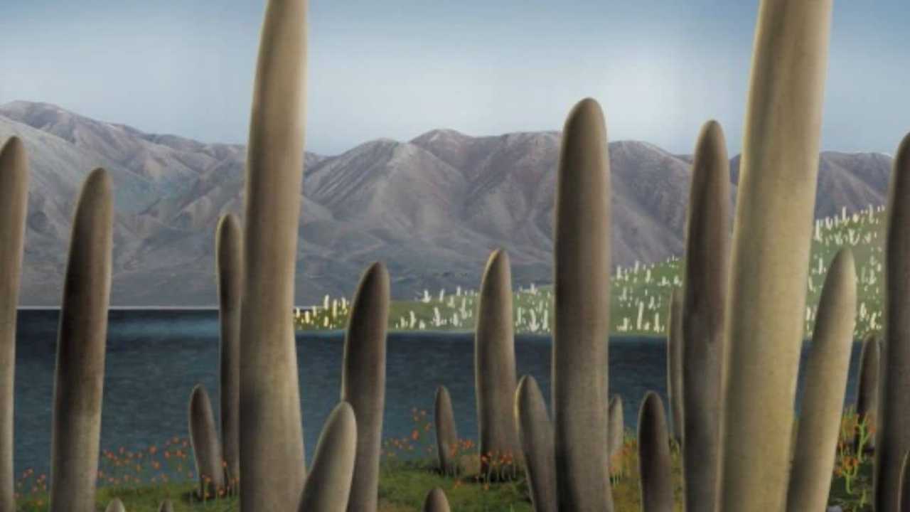 Scoperto fossile enigmatico che riscrive la storia della vita sulla Terra