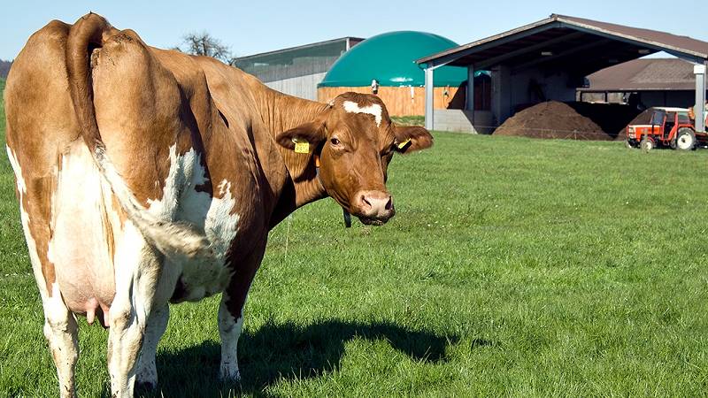 studio sulle emissioni di gas serra in agricoltura