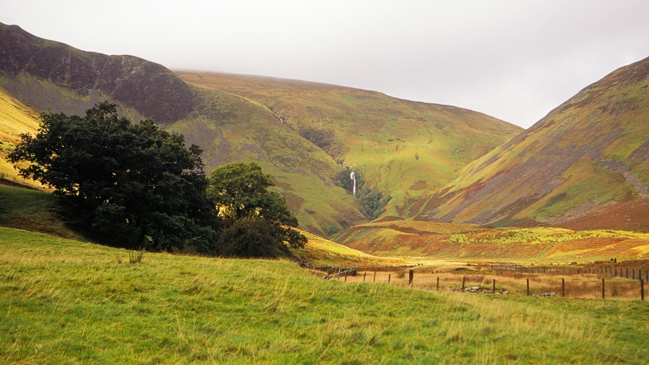 Dalla terra brulla alla biodiversità: la sorprendente metamorfosi di Howgill Fells