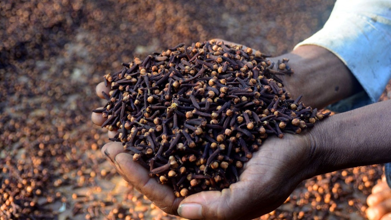 Il cambiamento climatico ridefinisce il mercato delle spezie