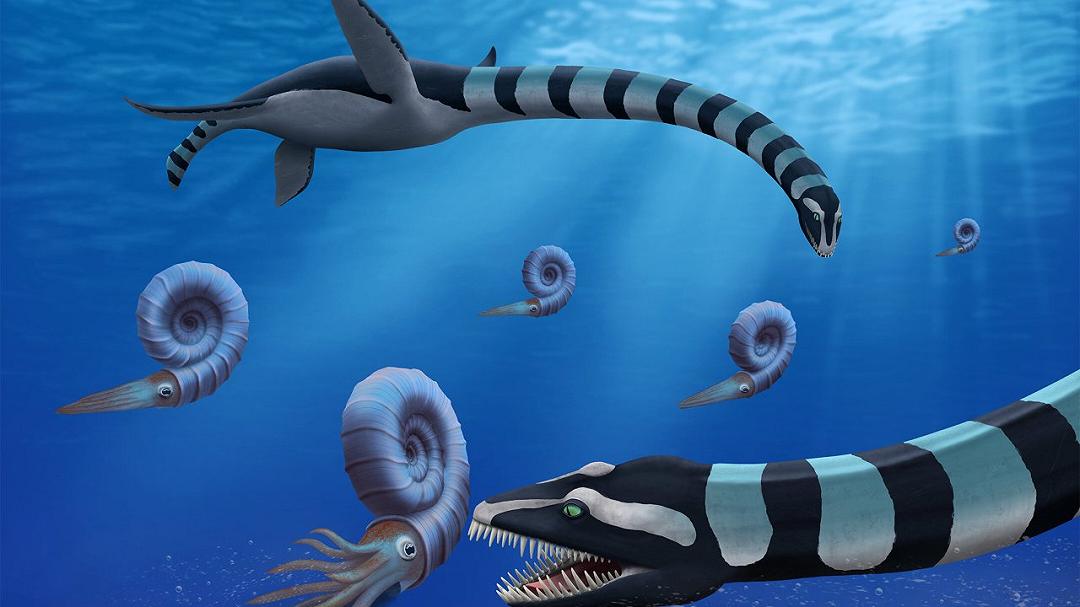 Scoperta una nuova specie di plesiosauro: un enigma di 85 milioni di anni è stato risolto