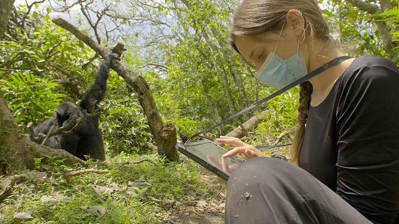 la ricercatrice Dott.ssa Elodie Freymann segue e osserva gli scimpanzé selvatici per registrare il loro comportamento naturale