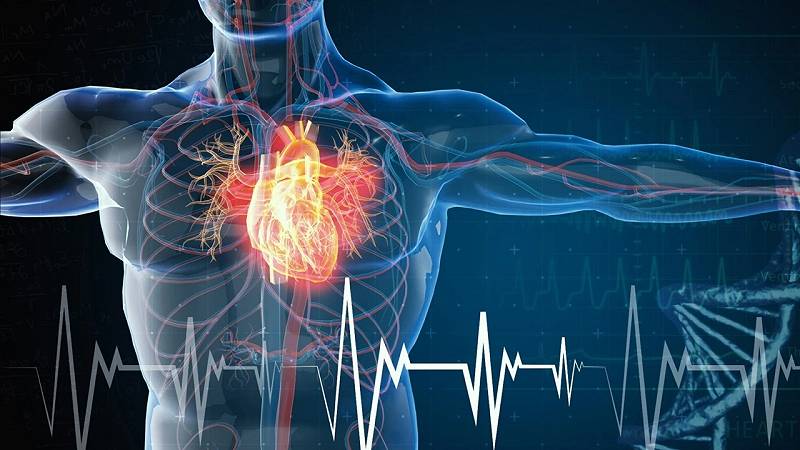 la salute del cuore