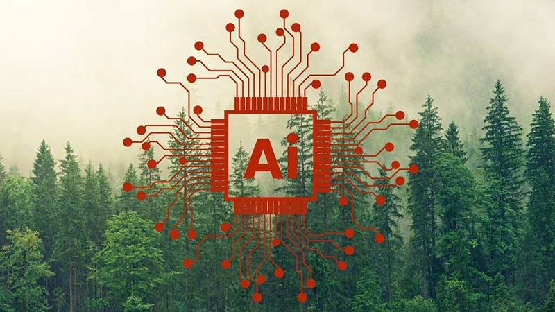 l’intelligenza artificiale salva le foreste