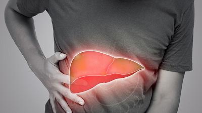 Nuove speranze per la salute del fegato: i risultati sorprendenti di uno studio internazionale