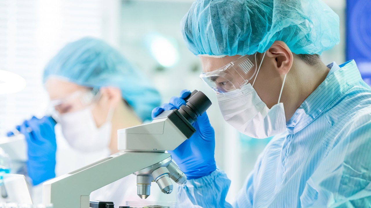 Tracce preistoriche nel trattamento del cancro: il ruolo inatteso dei dinosauri