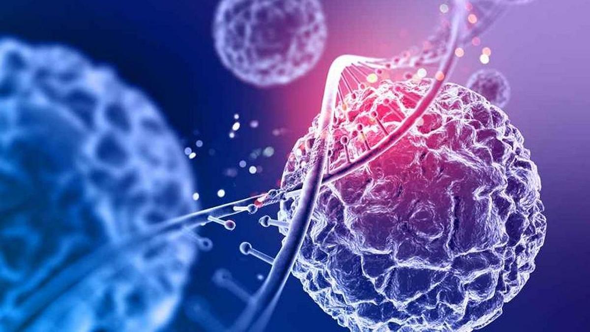 Nuove prospettive sulla lotta ai tumori legati all’obesità: ecco cosa rivela una ricerca recente