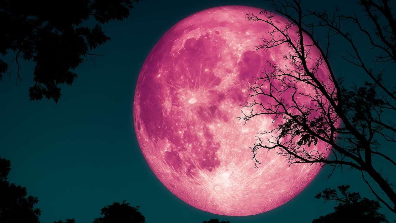Luna delle Fragole: ecco il fenomeno che illuminerà il cielo notturno