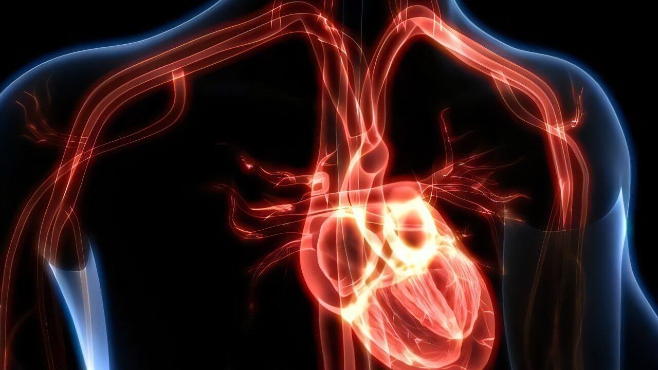 Prevenzione del cancro: il ruolo inatteso dei biomarcatori cardiaci