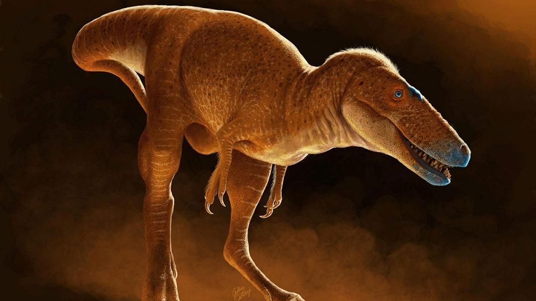 Scoperto in Mongolia il “Principe Drago”: un antenato del leggendario T. rex