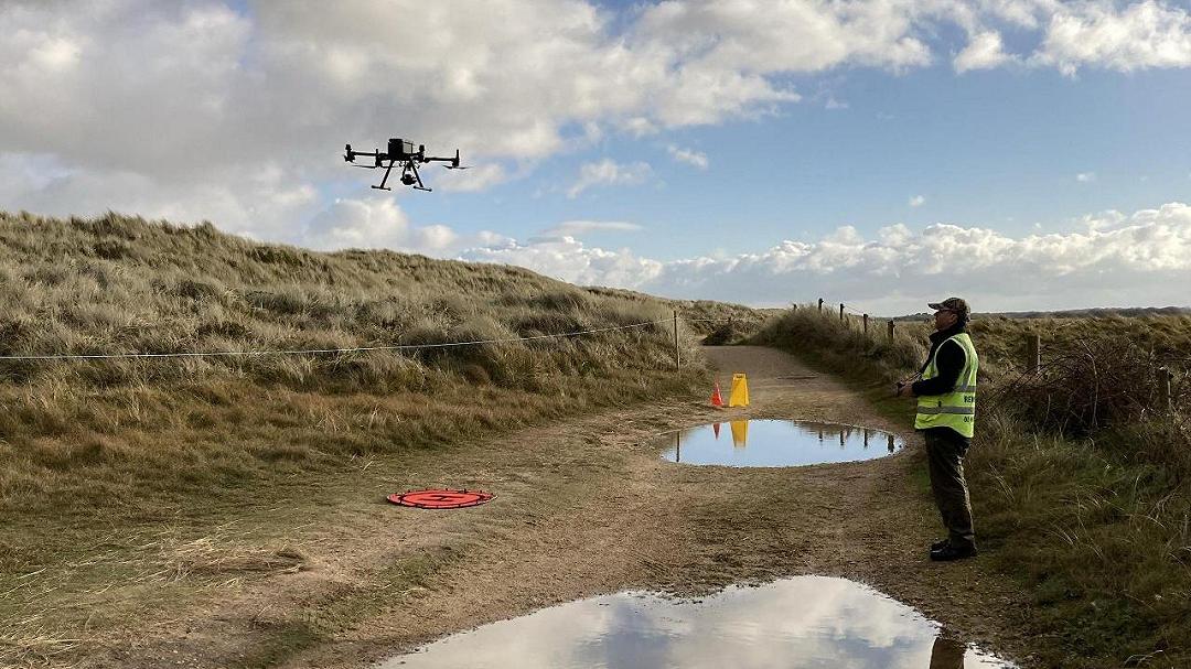 Declino delle foche comuni: la tecnologia offre nuove risposte